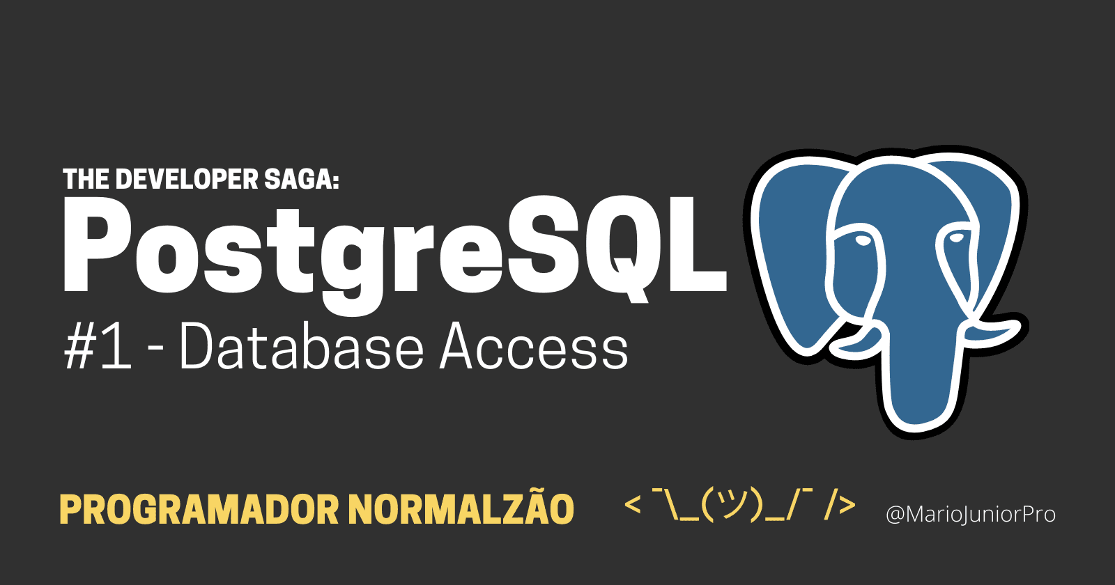The Developer Saga: Postgres Part #1 - Database Access